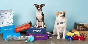 which dog is best for home security