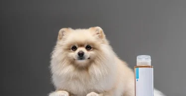 9 Ways Baking Soda Can Help Relieve Dog Skin Allergies
